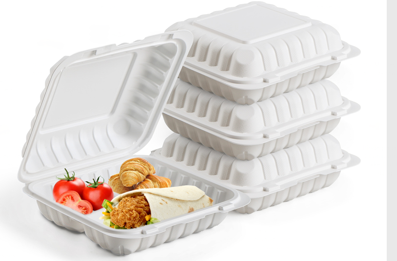 disposable lunch boxes