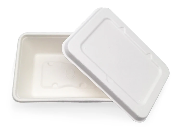 disposable lunch box