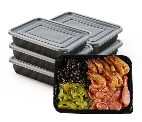 Big Capacity Leakproof take away food box