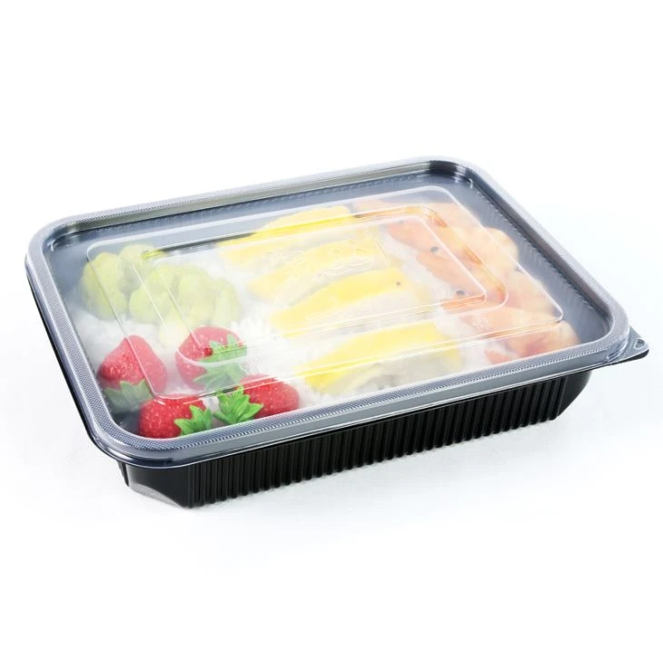 ขายส่งภาชนะใส่อาหารพลาสติก Takeway Disposable Box
