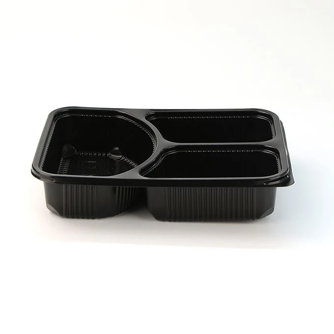 Adult Lunch Box