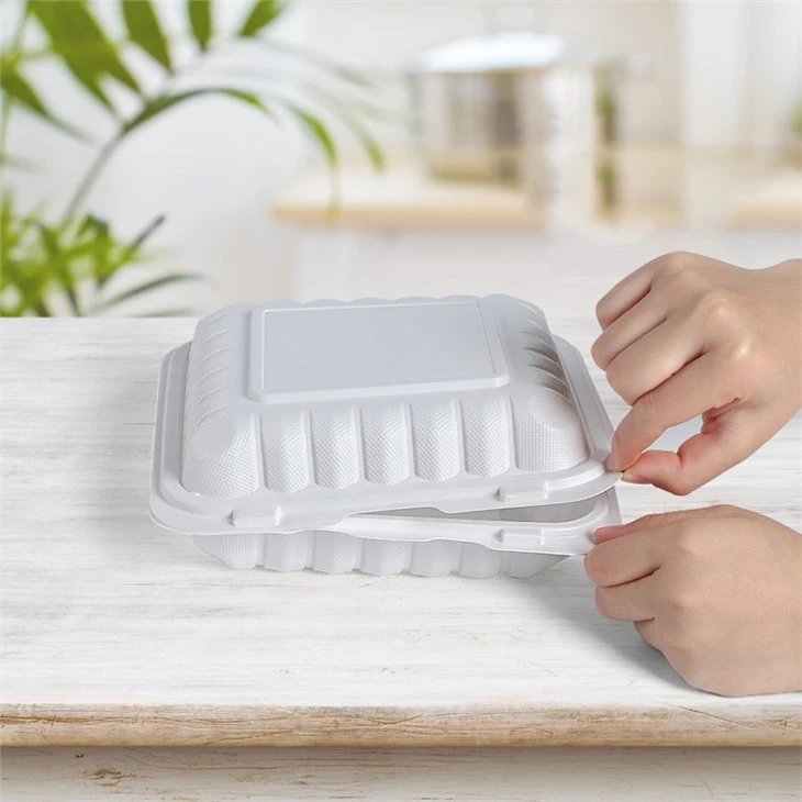 9''x9'' Plastic Takeout Food Container