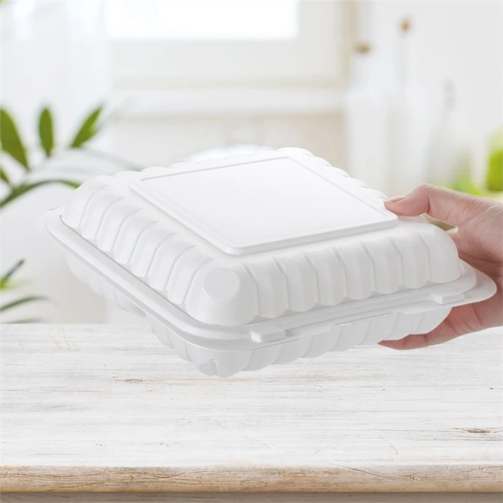 9''x9'' Plastic Takeout Food Container