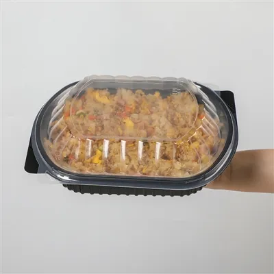 Plastic Togo Containers Plastic Togo Containers