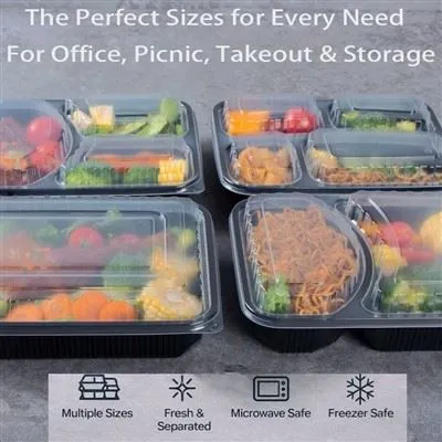 Lunch To-go Bento Box