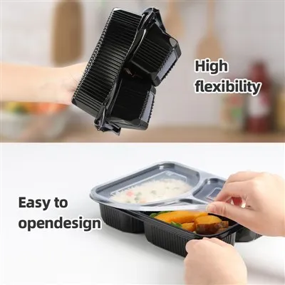 To Go Boxes With Compartments